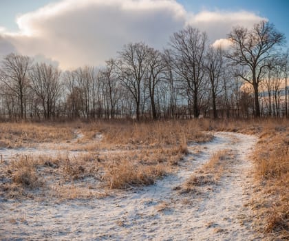 country road leading up to the horizon line , nature series