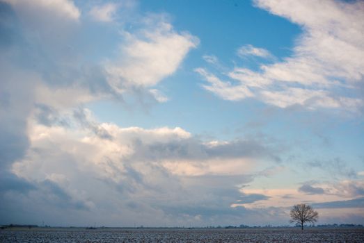 blue sky, natural clouds, nature series