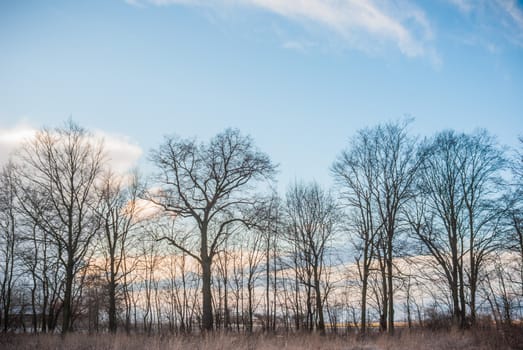 blue sky, natural clouds, nature series