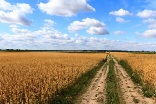 agricultural field, nature and agriculture farming series