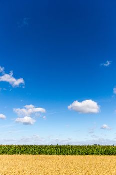 agricultural field, nature and agriculture farming series