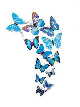 butterflies wall stickers isolated on white background     