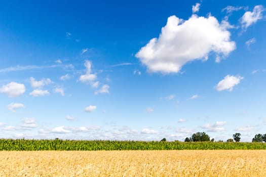agricultural field, nature and agriculture farming series