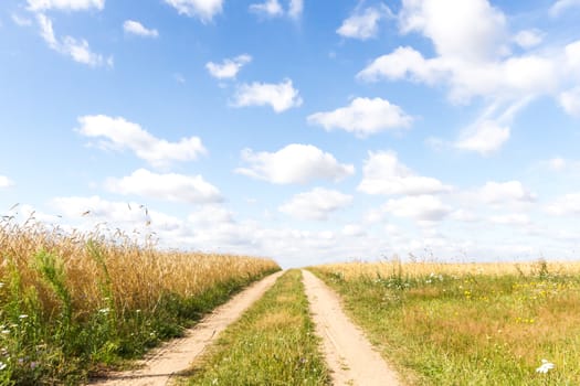 agricultural field, nature and agriculture farming series