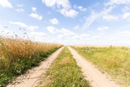 agricultural field, nature and agriculture farming series