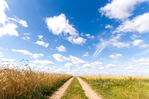 agricultural field, nature and agriculture farming series