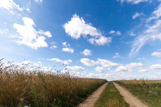 agricultural field, nature and agriculture farming series