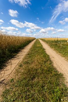 agricultural field, nature and agriculture farming series