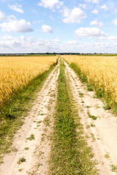agricultural field, nature and agriculture farming series