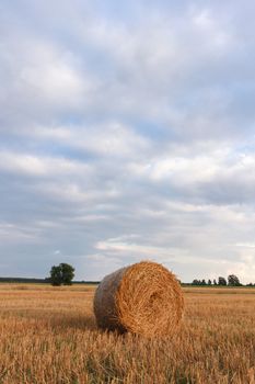 agricultural field, nature and agriculture farming series