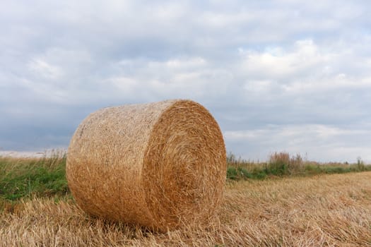 agricultural field, nature and agriculture farming series