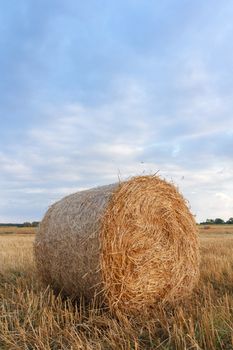 agricultural field, nature and agriculture farming series