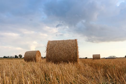 agricultural field, nature and agriculture farming series