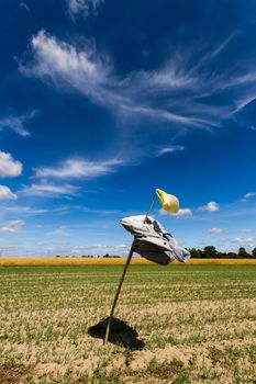agricultural field, nature and agriculture farming series