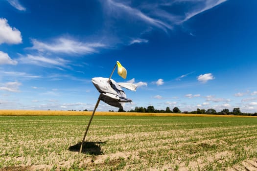 agricultural field, nature and agriculture farming series