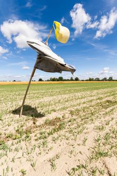 agricultural field, nature and agriculture farming series