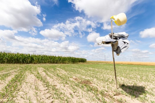 agricultural field, nature and agriculture farming series