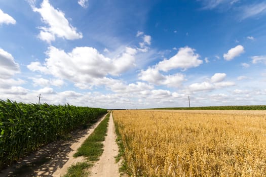 agricultural field, nature and agriculture farming series