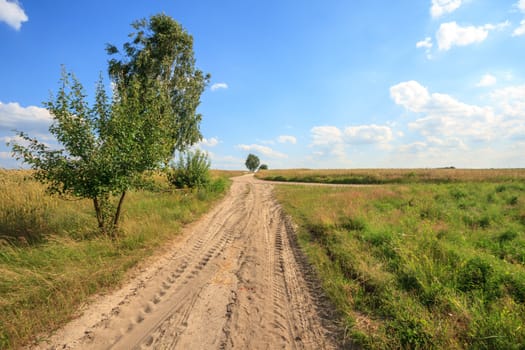 agricultural field, nature and agriculture farming series