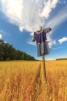 agricultural field, nature and agriculture farming series