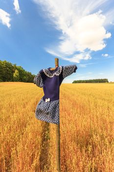 agricultural field, nature and agriculture farming series