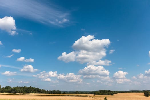agricultural field, nature and agriculture farming series