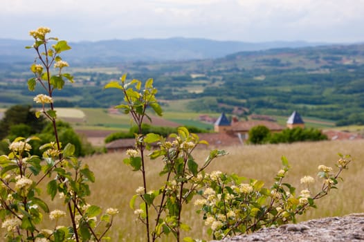 charnay,rhone,france