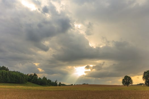 agricultural field, nature and agriculture farming series