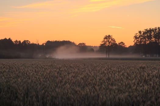 agricultural field, nature and agriculture farming series