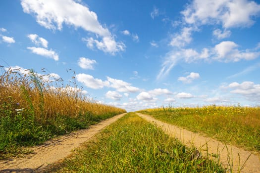 agricultural field, nature and agriculture farming series
