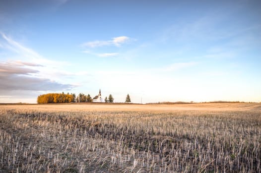 agricultural field, nature and agriculture farming series