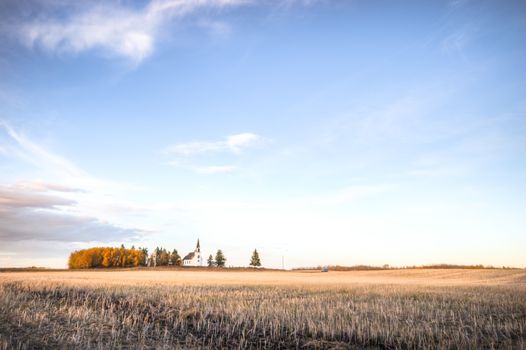 agricultural field, nature and agriculture farming series