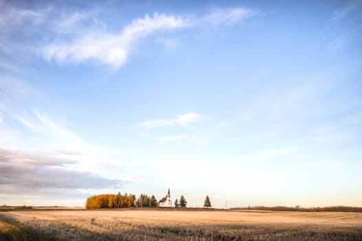 agricultural field, nature and agriculture farming series
