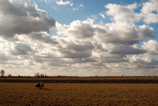 agricultural field, nature and agriculture farming series