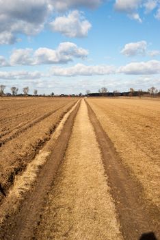 agricultural field, nature and agriculture farming series