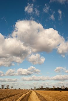 agricultural field, nature and agriculture farming series