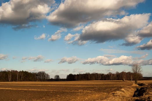 agricultural field, nature and agriculture farming series