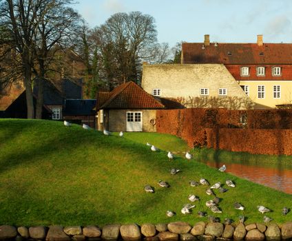 Beautiful Danish Rustic Landscape with Countryside Homes, Shrubs near Pond and Birds Sitting on Green Grass Hill Outdoors