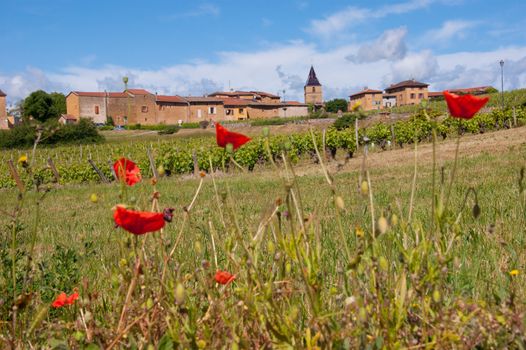 bagnols,rhone,france