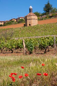 bagnols,rhone,france