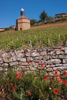 bagnols,rhone,france