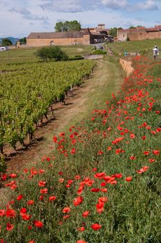 bagnols,rhone,france