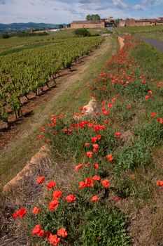 bagnols,rhone,france