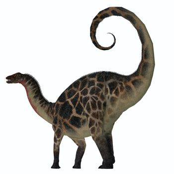 Dicraeosaurus was a sauropod herbivorous dinosaur that lived in the Jurassic Era of Tanzania, Africa.