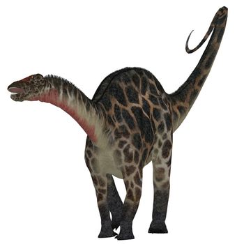 Dicraeosaurus was a sauropod herbivorous dinosaur that lived in the Jurassic Era of Tanzania, Africa.