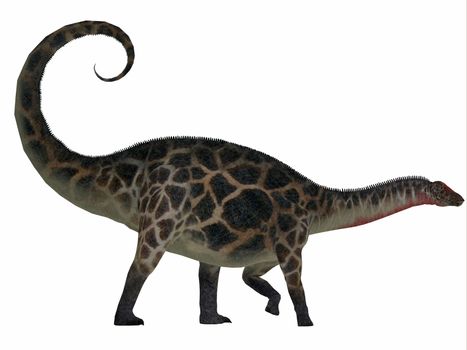 Dicraeosaurus was a sauropod herbivorous dinosaur that lived in the Jurassic Era of Tanzania, Africa.