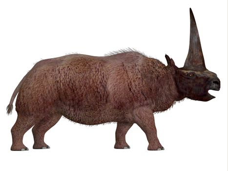 Elasmotherium is an extinct mammal that lived in the Pleistocene Period of Russia, Ukraine, and Moldova.