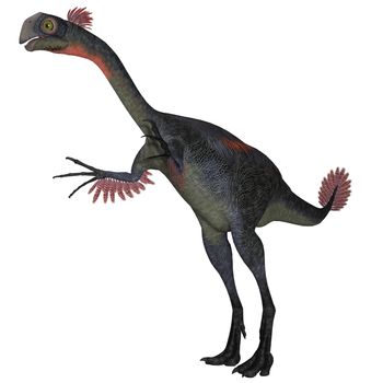 Gigantoraptor was a theropod dinosaur that lived in Inner Mongolia, China in the Cretaceous Period.