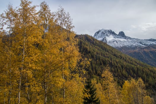 montroc,chamonix,haute savoie,france