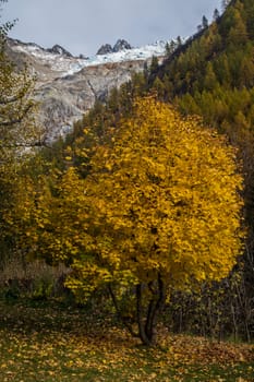 montroc,chamonix,haute savoie,france